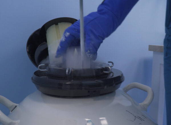 egg-donation-cyprus (2)