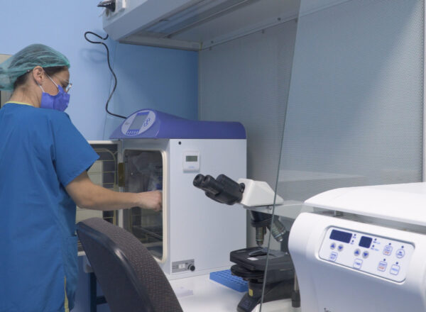 egg-donation-cyprus (4)