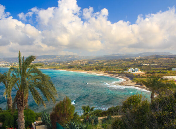 Sea panorama to the coast with palms