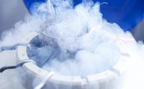 embryo-cryopreservation